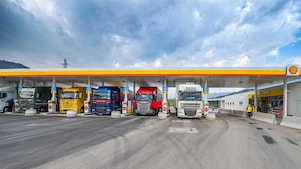 Business customer, supplier, partner or investor